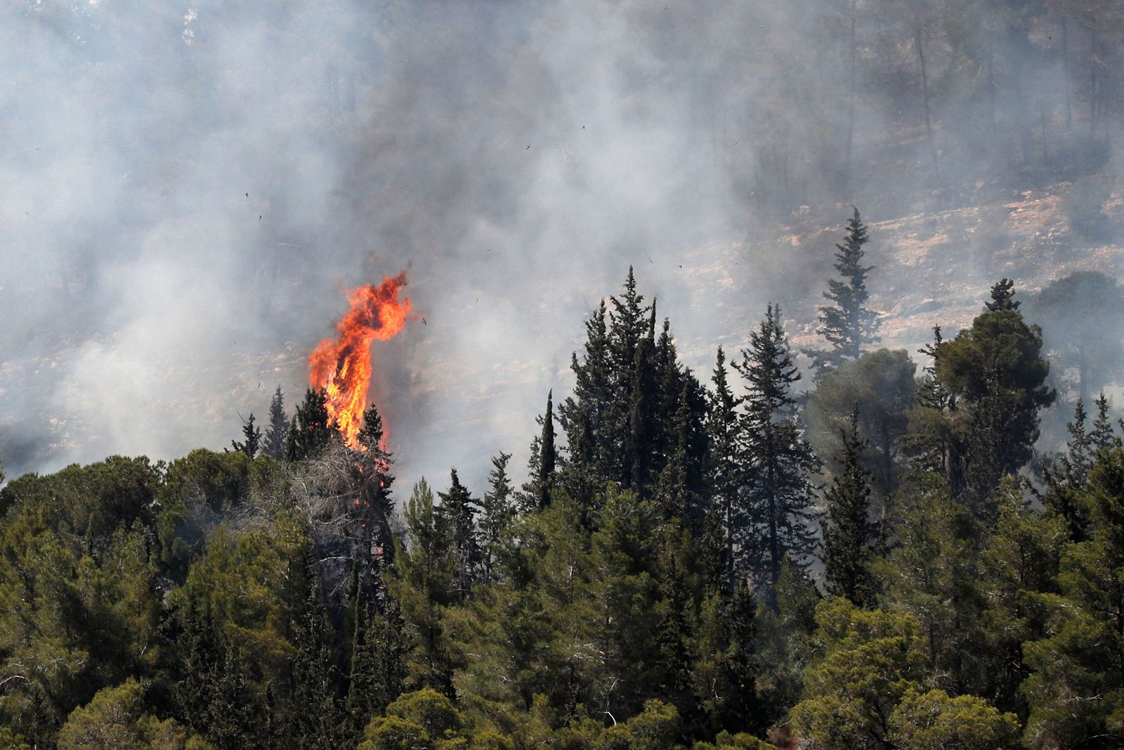 Flames and smoke engulf a forest in the area of the Arab-Israeli village of Abu Ghosh near Jerusalem, on June 9, 2021. (Photo by Ahmad GHARABLI / AFP) - AFP