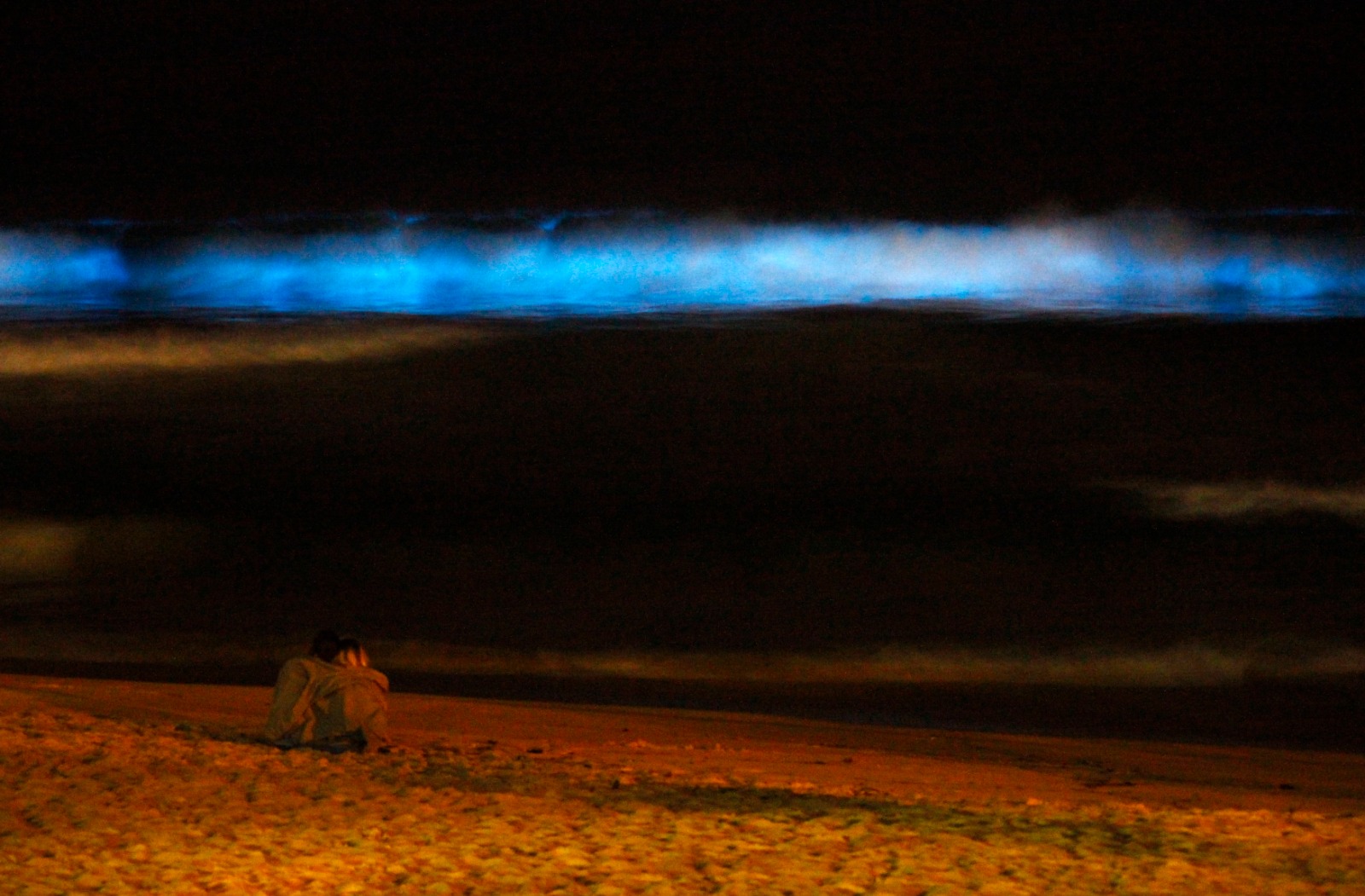 زوجان يجلسان لمشاهدة ظاهرة الخلجان المتلألئة على شواطئ سيدني، أستراليا. 25 يوليو 2014