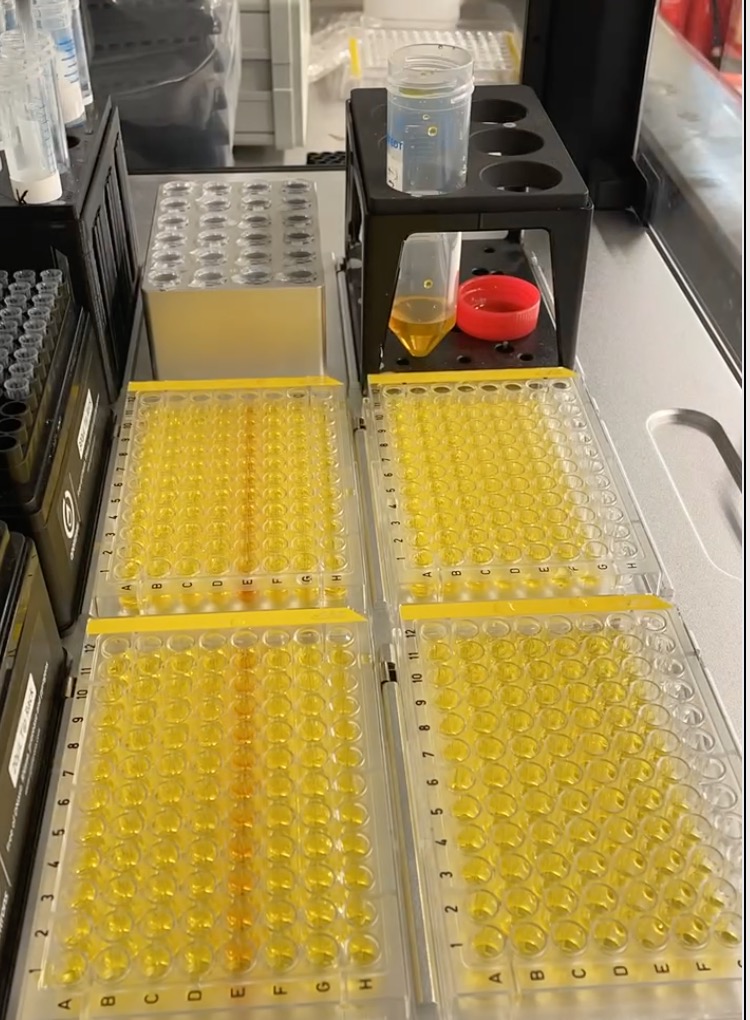 المركبات بعد اختبارها