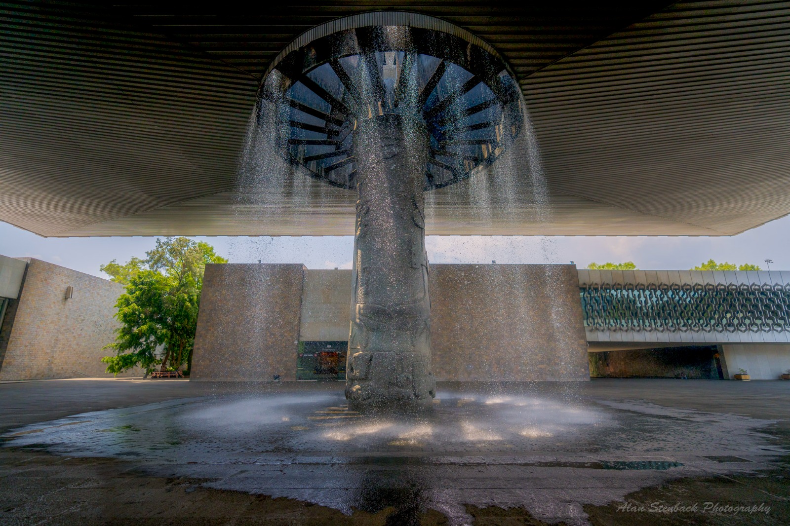 مظلة المتحف