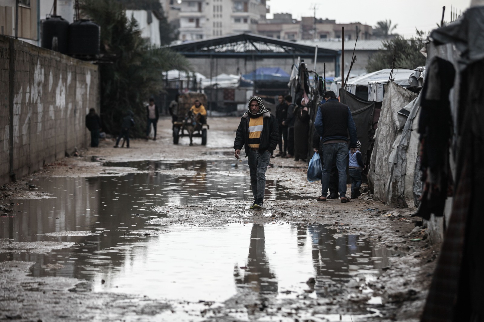 طفل فلسطيني