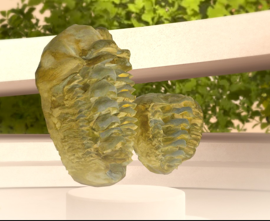 أحفورة بحرية منقرضة تعود  إلى العصر الديفوني (منذ حوالي 419 إلى 358 مليون سنة)