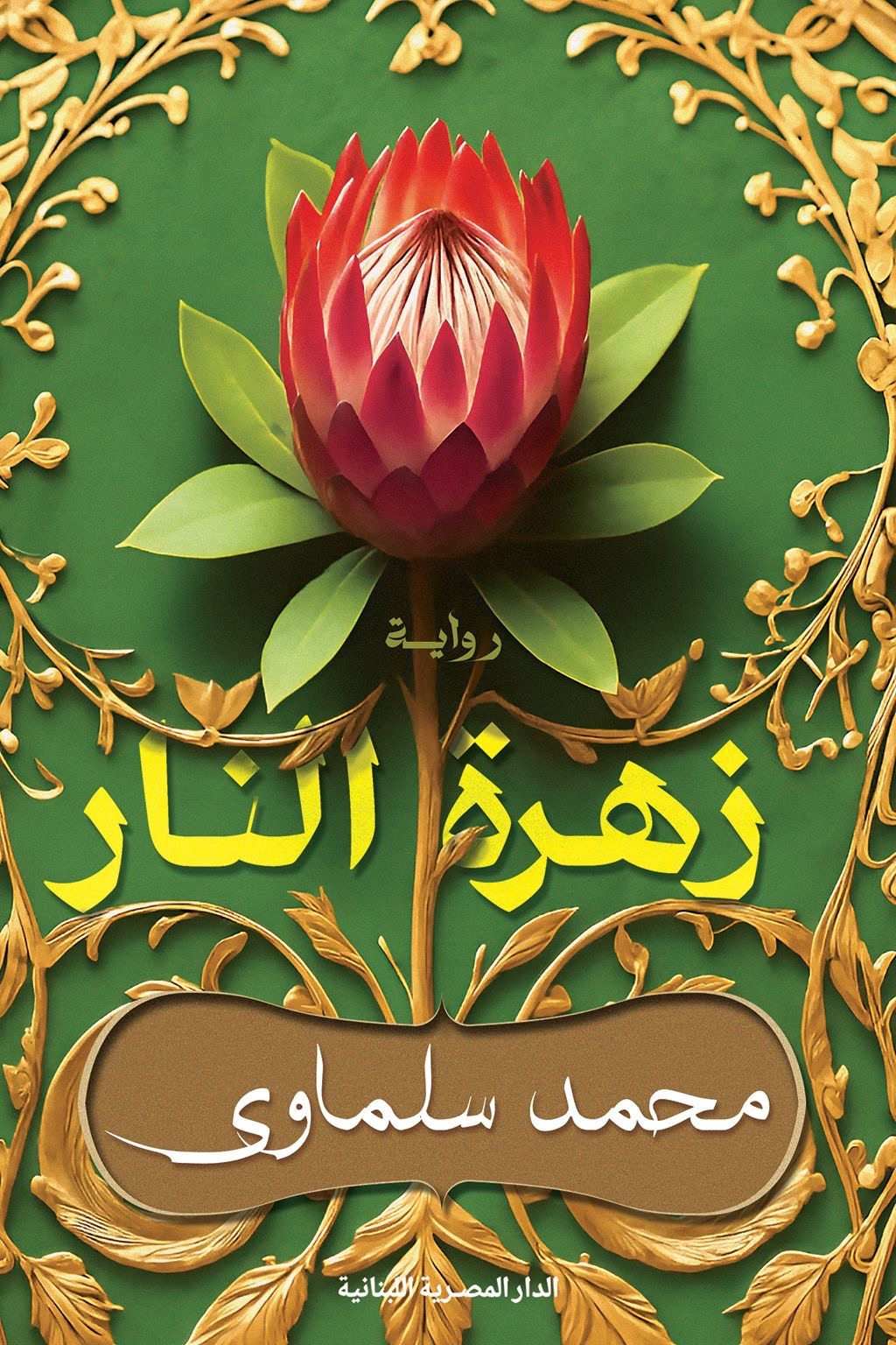 غلاف أحد الإصدارات