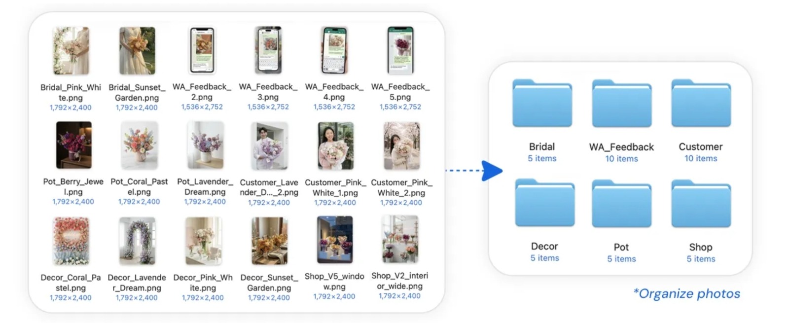 ميزة Manus Desktop الجديدة تسهل على المستخدم ترتبب الصور في ملفات مخصصة حسب محتوى الصور - Manus 