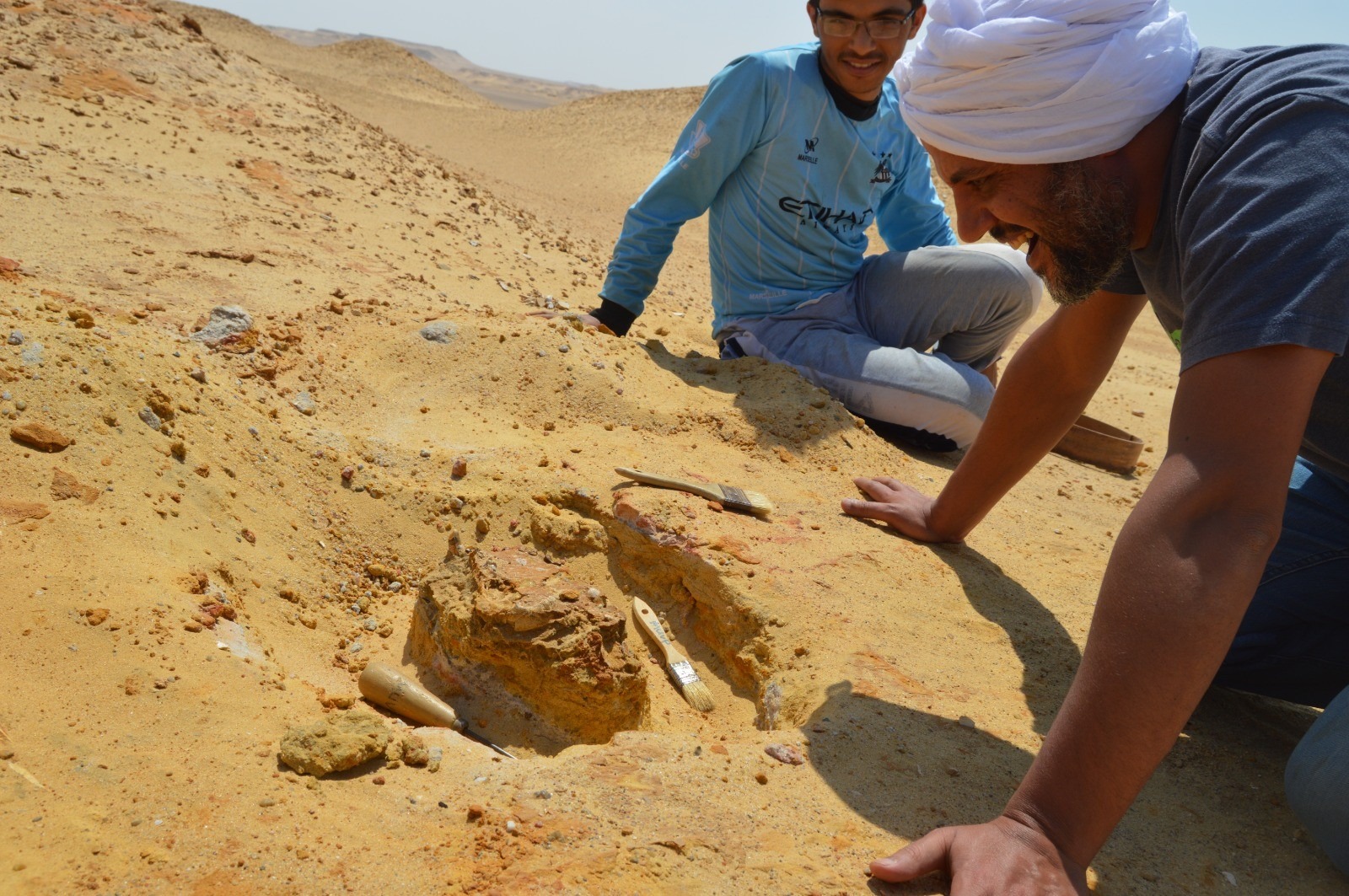 فريق البحث يعاين جمجمة الحيوان المفترس في منطقة الفيوم. مصر