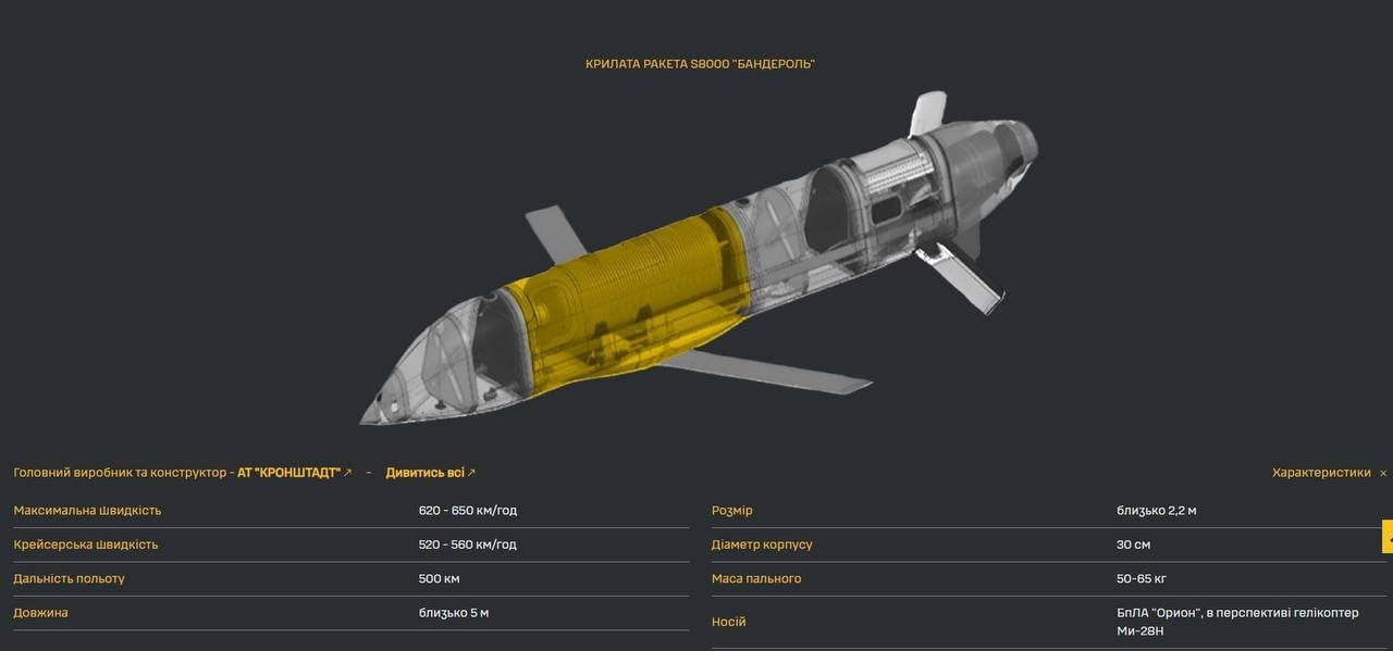 ضورة توضح خصائص صاروخ كروز من طراز S8000 Banderol الروسي