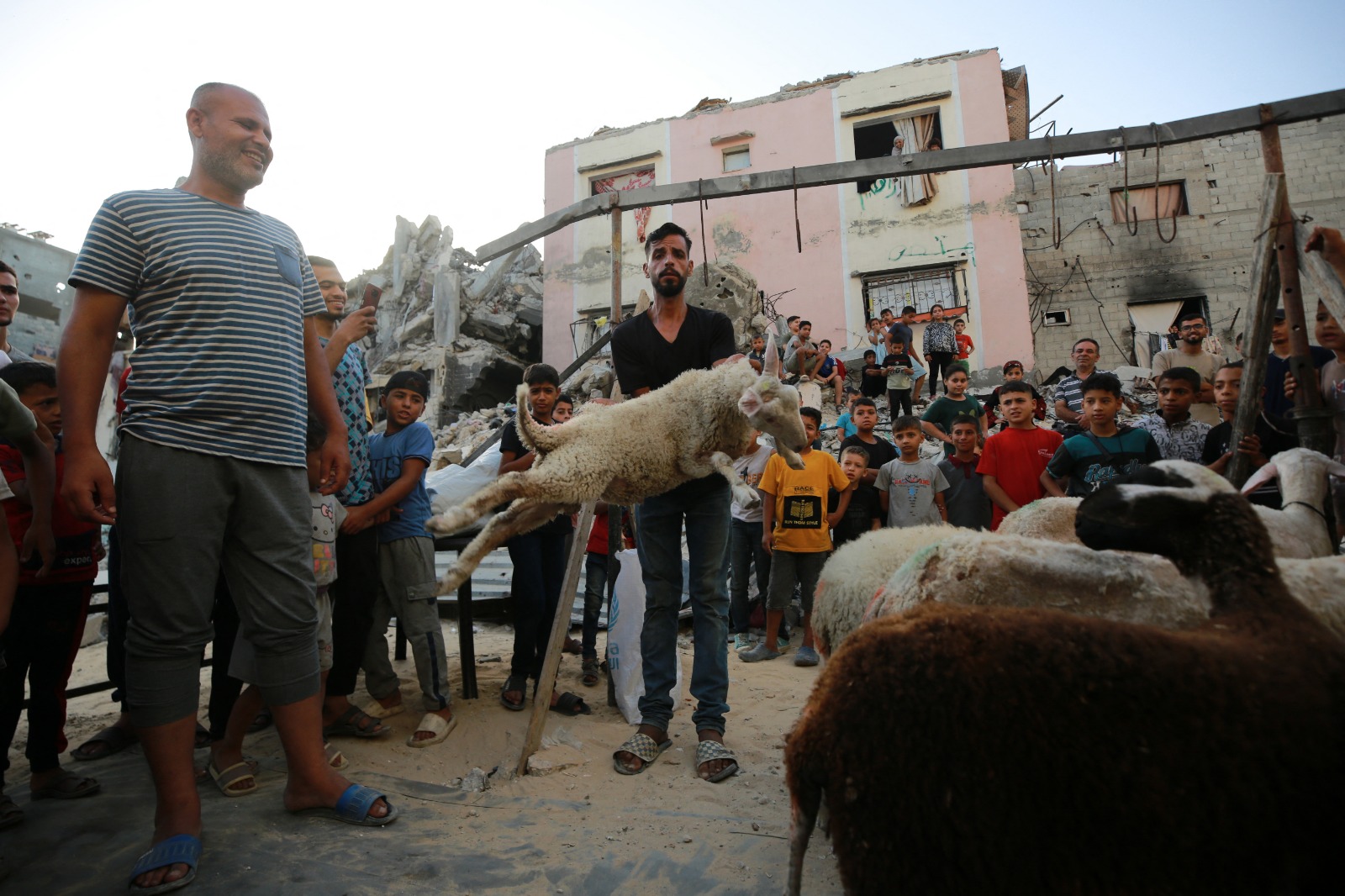 فلسطينيون يجهزون الأغنام لذبحها بمناسبة عيد الأضحى في خان يونس جنوب قطاع غزة. 16 يونيو 2024