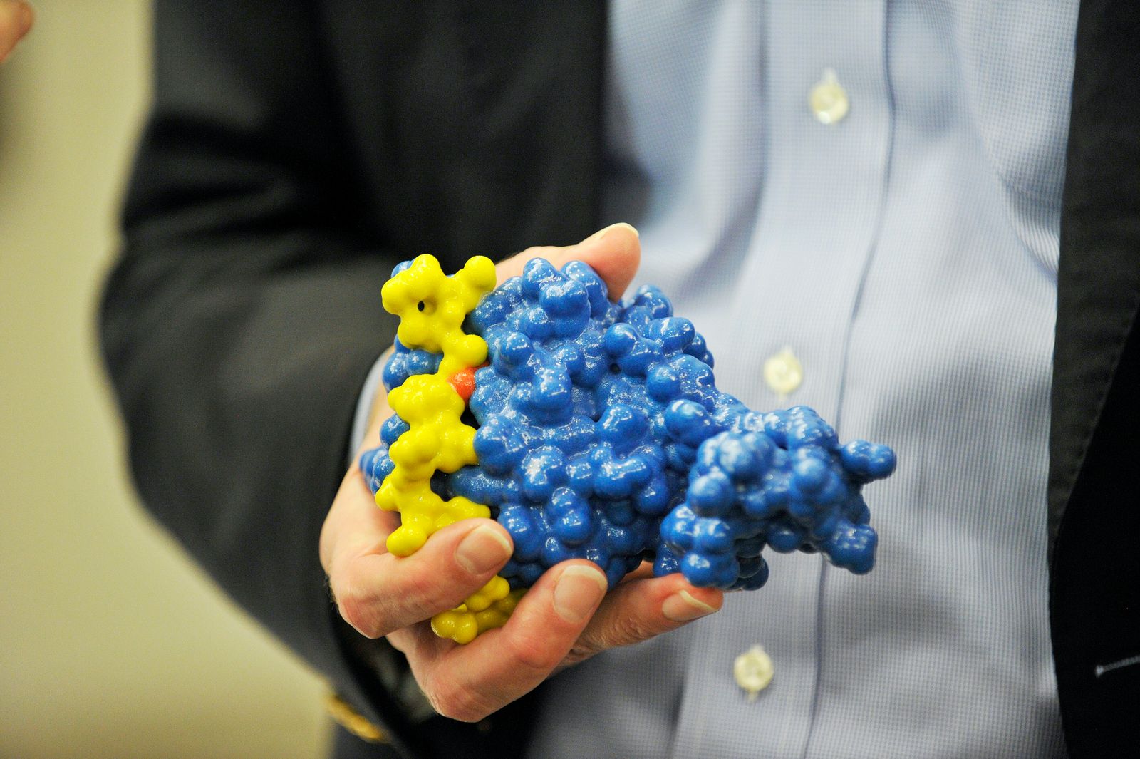 Dr. William G. Kaelin, Jr. MD, recipient of 2019 Nobel Prize in Physiology or Medicine, holds a model of the protein he has been working on as he speaks to the press at Dana-Farber Cancer Institute in Boston, Ma on October 7, 2019. - US researchers William Kaelin and Gregg Semenza and Britain's Peter Ratcliffe won the 2019 Nobel Medicine Prize for discoveries on how cells sense and adapt to oxygen availability, the Nobel Assembly said. (Photo by JOSEPH PREZIOSO / AFP) - AFP