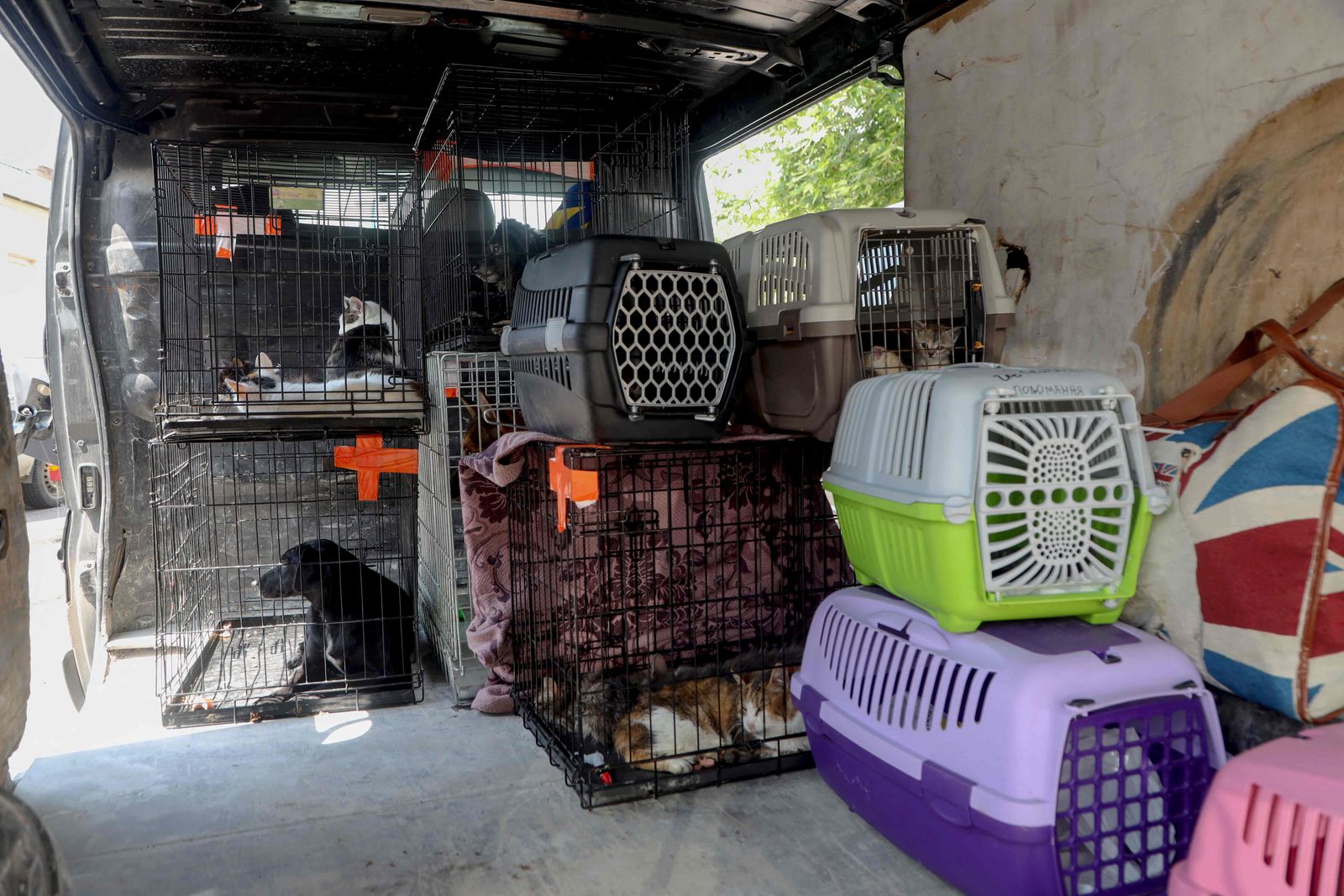 This photograph taken on June 7, 2023, shows cats and dogs in the back of a van during an evacuation of animals from a flooded part of Kherson on June 7, 2023, following damage sustained at the Kakhovka hydroelectric power plant dam. Ukraine was evacuating thousands of people on June 7 after an attack on a major Russian-held dam on June 6, 2023, unleashed a torrent of water, inundating two dozen villages and sparking fears of a humanitarian disaster. (Photo by Oleksandr GIMANOV / AFP) - AFP