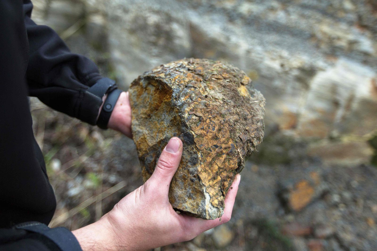 A man holds a fossil found inside rocks of a forest with 165 trees in Ortigueira, Paran� State, southern Brazil, on June 15, 2022. - The discovery portrays life forms from 290 million years ago. With roots still fixed in the substrate at the time, the trees preserve their vertical position, which is rare. (Photo by Ricardo Chicarelli / AFP) - AFP