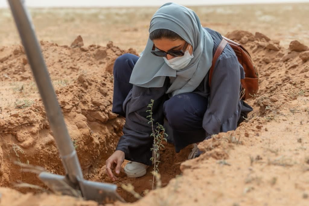 جانب من أعمال التشجير في السعودية ضمن مبادرة السعودية الخضراء - المركز الوطني لتنمية الغطاء النباتي ومكافحة التصحر
