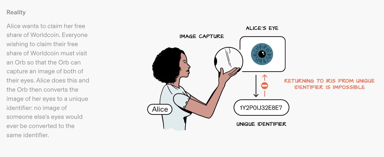 طريقة تحويل بصمة عين المستخدم إلى كود برمجي للحصول على عملات WorldCoin المشفرة - WorldCoin