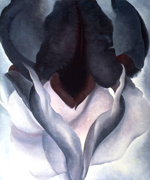 لوحة السوسن الأسود