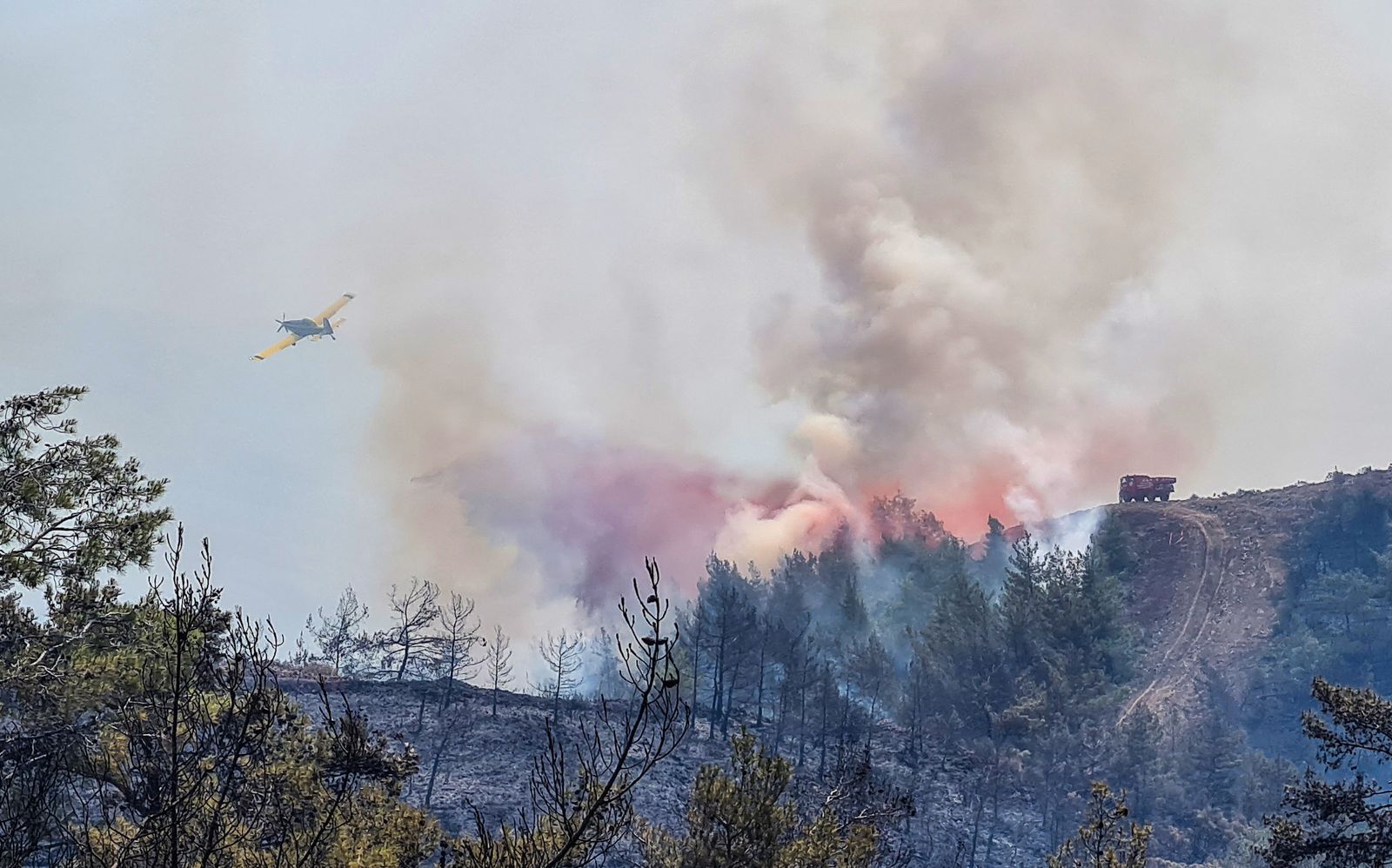 A firefighting aircraft drops water on a wildfire near Marmaris - REUTERS