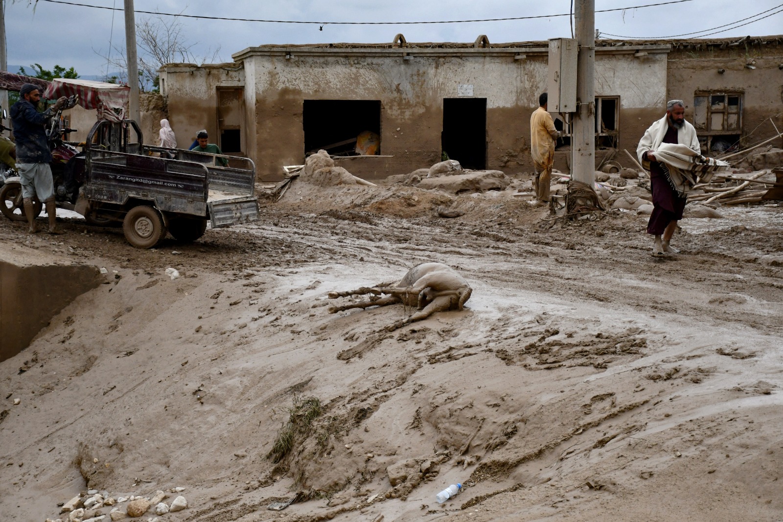 رجال أفغان يسيرون بجوار جثة حمار  في شارع مغطى بالطين بعد فيضانات مفاجئة أعقبت أمطار غزيرة في أحدى قرى منطقة بجلان- 11 مايو 2024