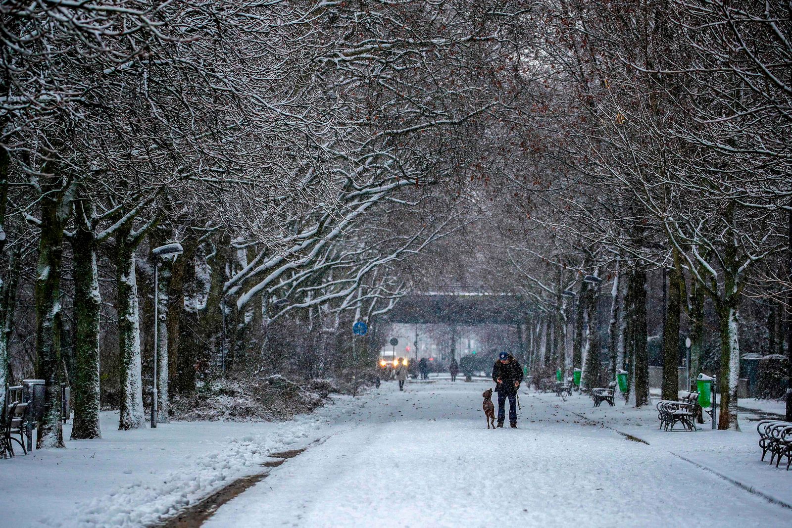 A man plays walks his dog in an alley in a park after snowfall in Frankfurt am Main, western Germany, on January 12, 2021. (Photo by Armando BABANI / AFP) - AFP
