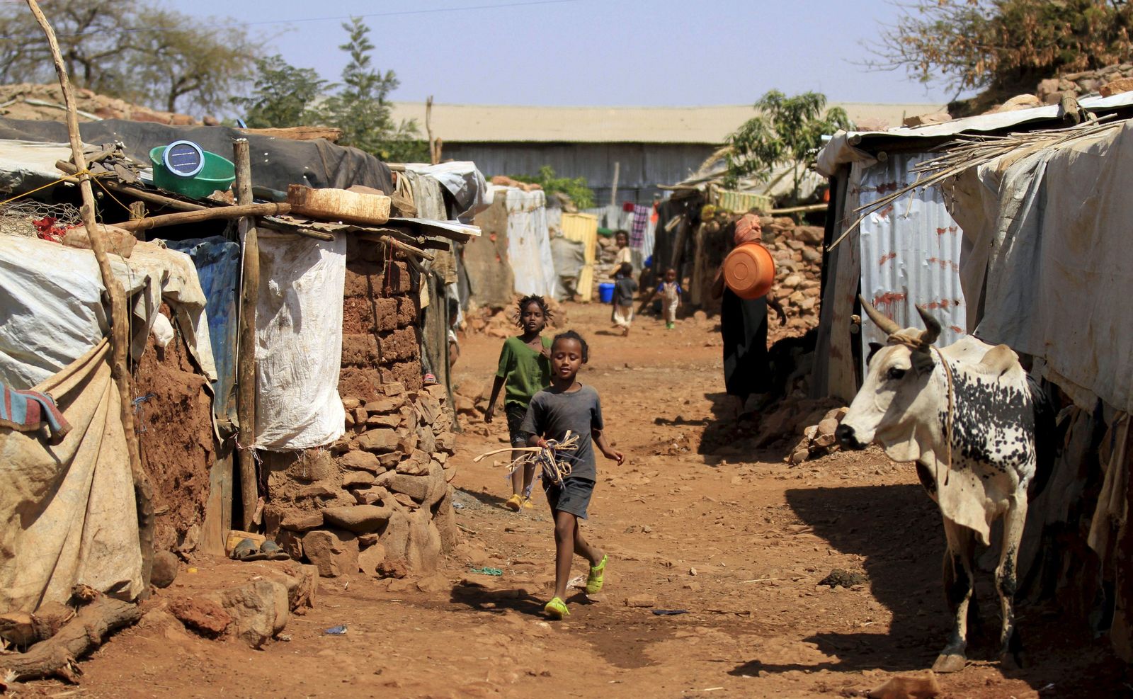 أطفال لاجئون من إرتيريا داخل أحد مخيمات اللاجئين في إقليم تيغراي شمال إثيوبيا- 10 فبراير 2016  - REUTERS