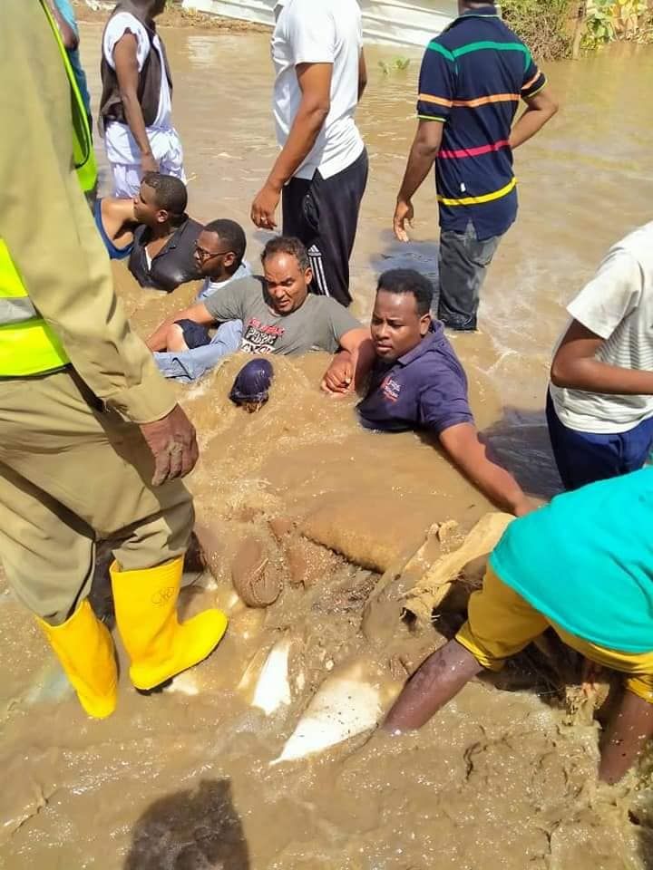 سودانيون في جزيرة 