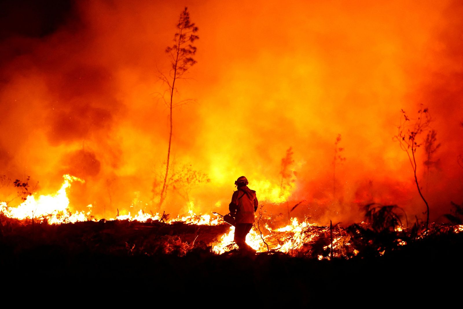Wildfires in southwestern France - REUTERS