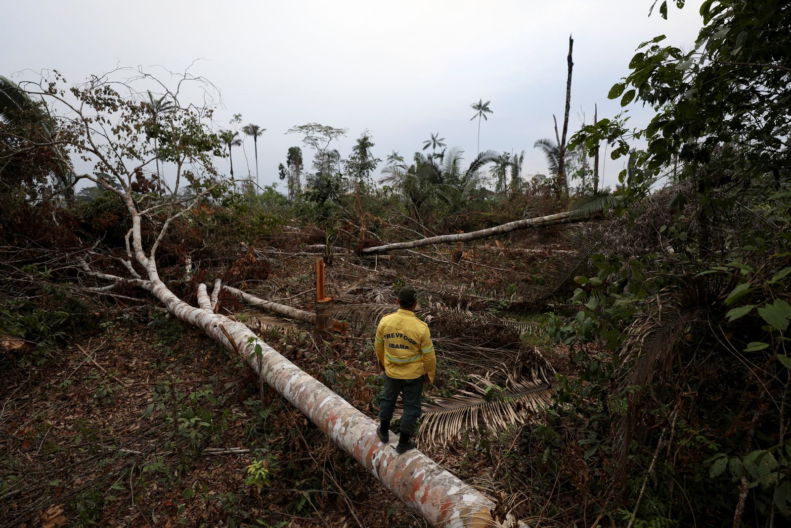 إطفائي في قطعة أرض أزيلت منها الغابات بالأمازون في البرازيل - 4 سبتمبر 2021 - REUTERS