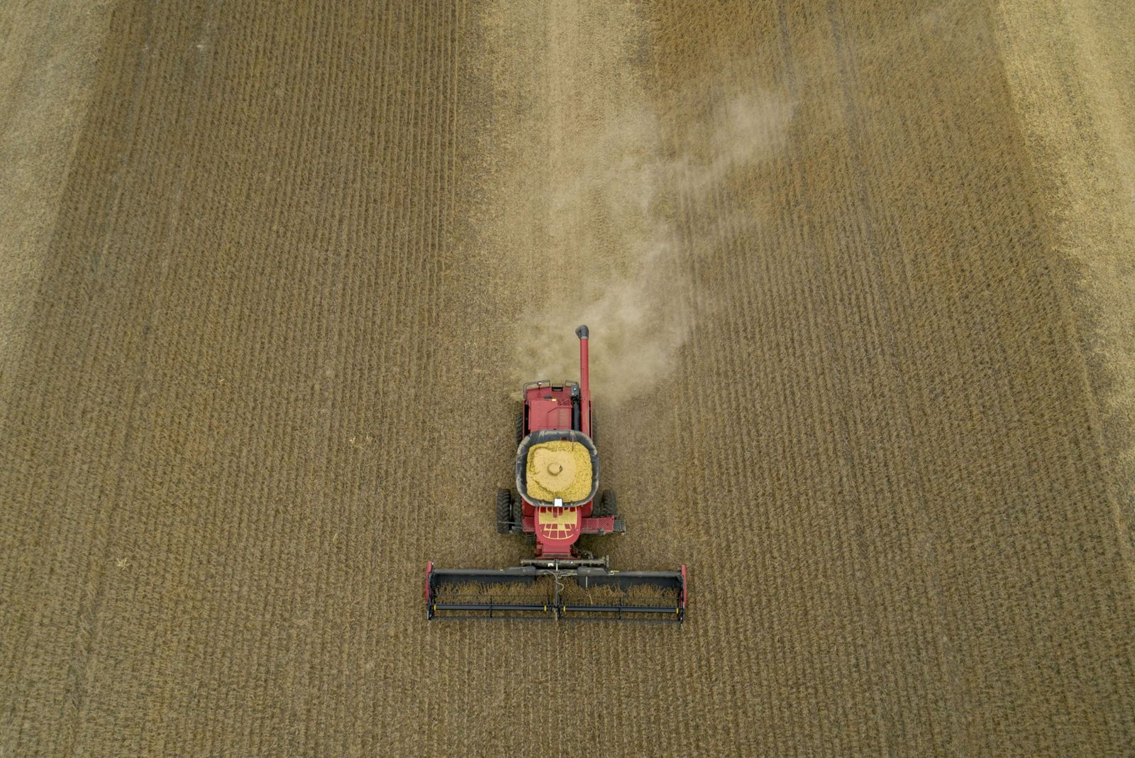 آلة حصاد تجمع فول الصويا في ولاية إيلينوي الأميركية - 23 نوفمبر 2019 - Bloomberg