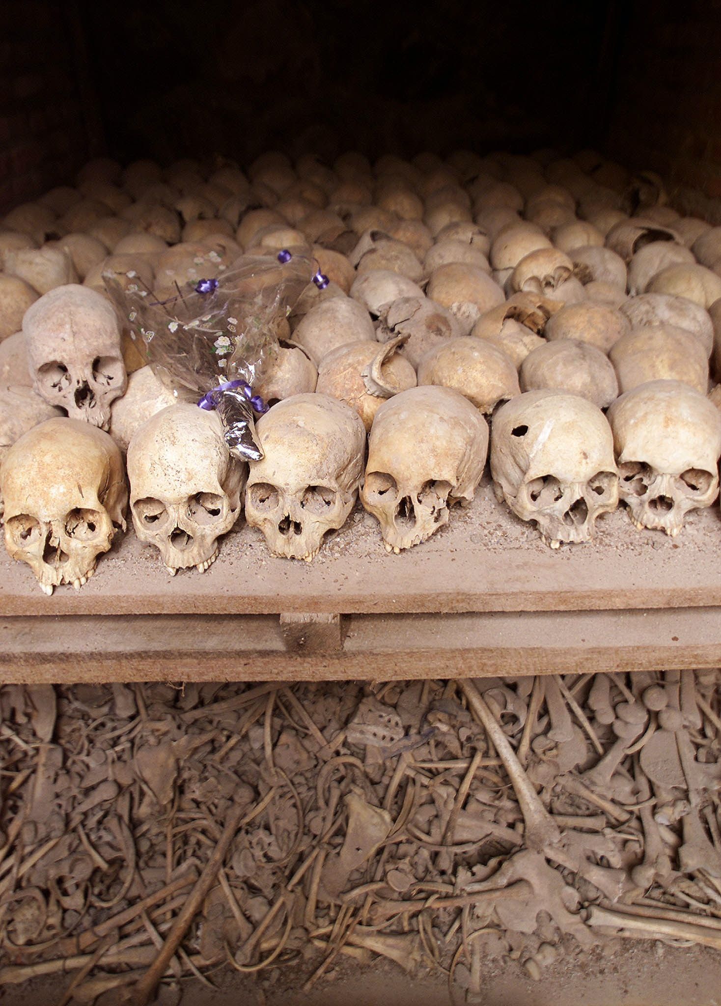 أرفف لجماجم تشكل نصباً تذكارياً في كنيسة نياما في وسط رواندا، حيث تم قتل عشرات الآلاف من قبيلة التوتسي أثناء الإبادة الجماعية في عام 1994. 19 يونيو 2002