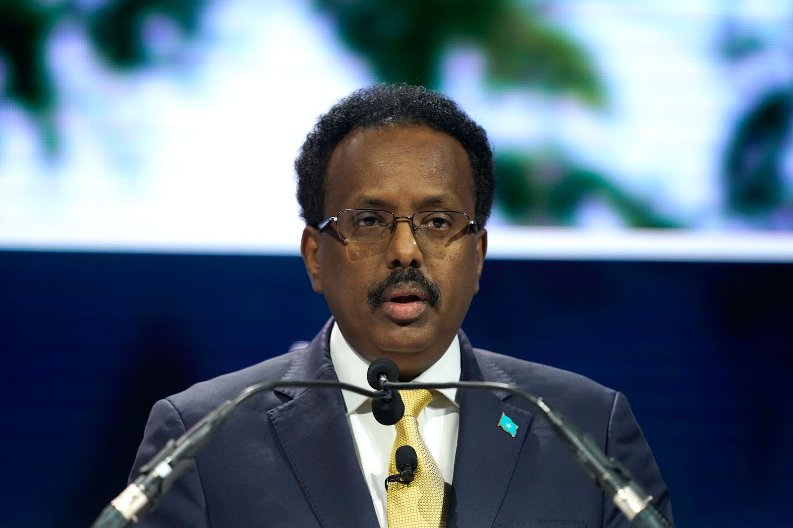 الرئيس الصومالي محمد فرماجو  - AFP