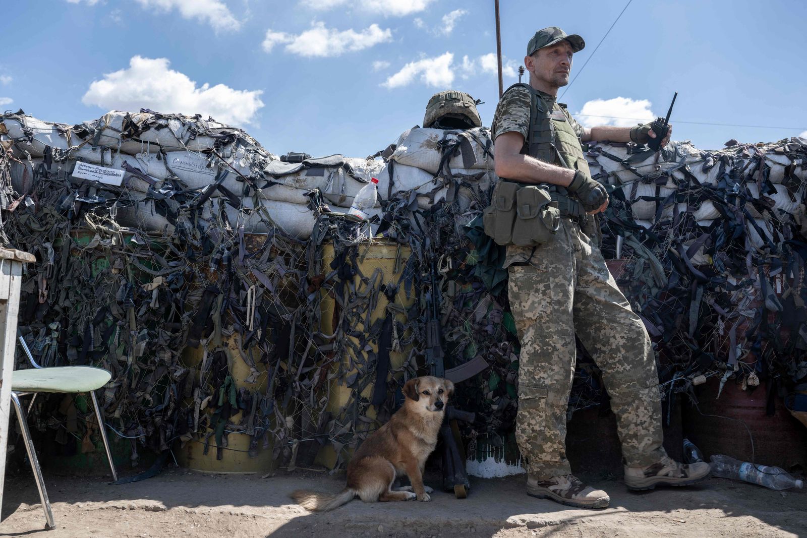 A Ukrainian soldier, accompanied by a dog, keeps position on the front line in Mykolaiv region on July 23, 2022, amid the Russian invasion of Ukraine. (Photo by BULENT KILIC / AFP) - AFP