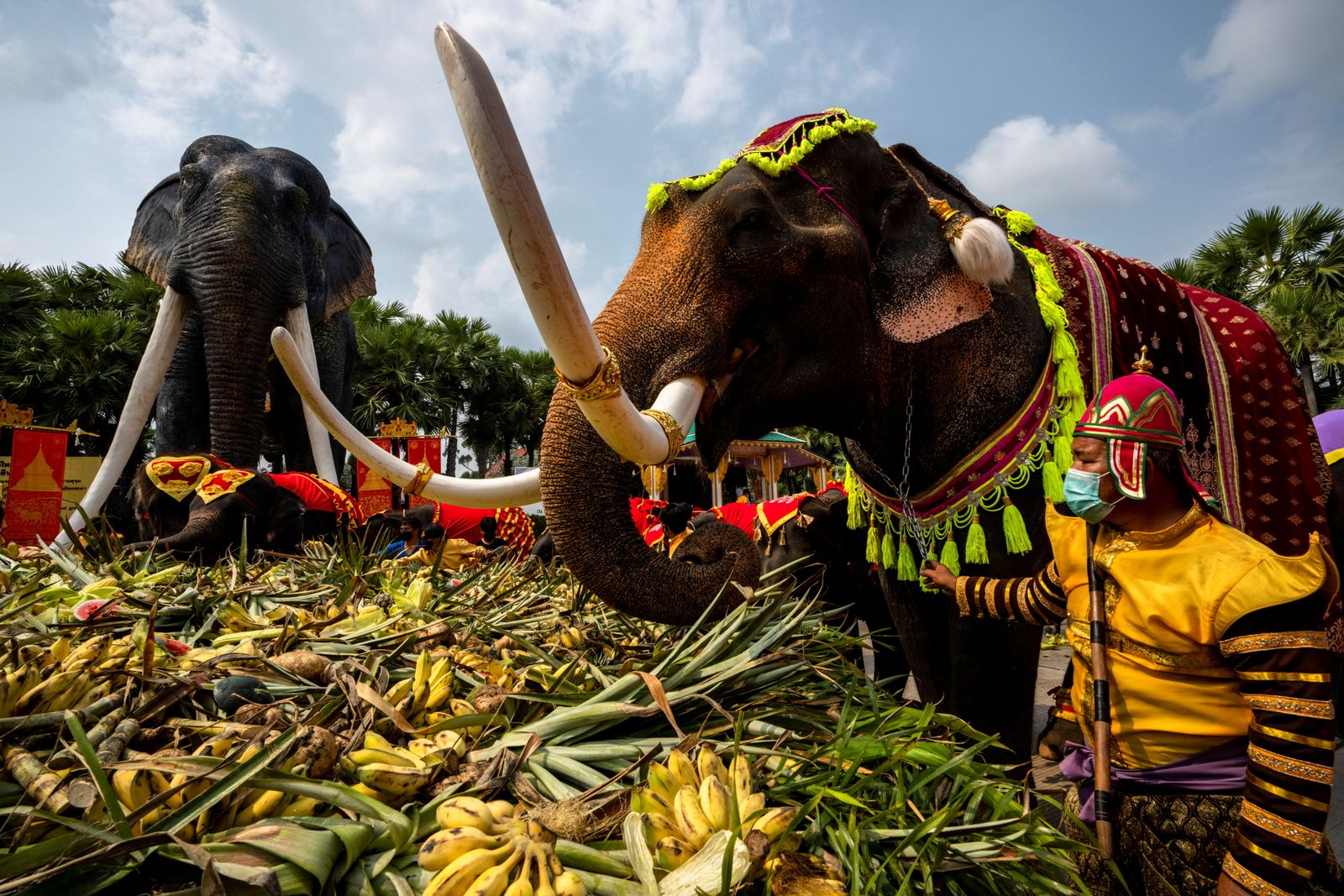 من أجواء المأدبة التكريمية للحيوان الوطني لتايلندا، الفيل - 13 مارس 2022 - REUTERS