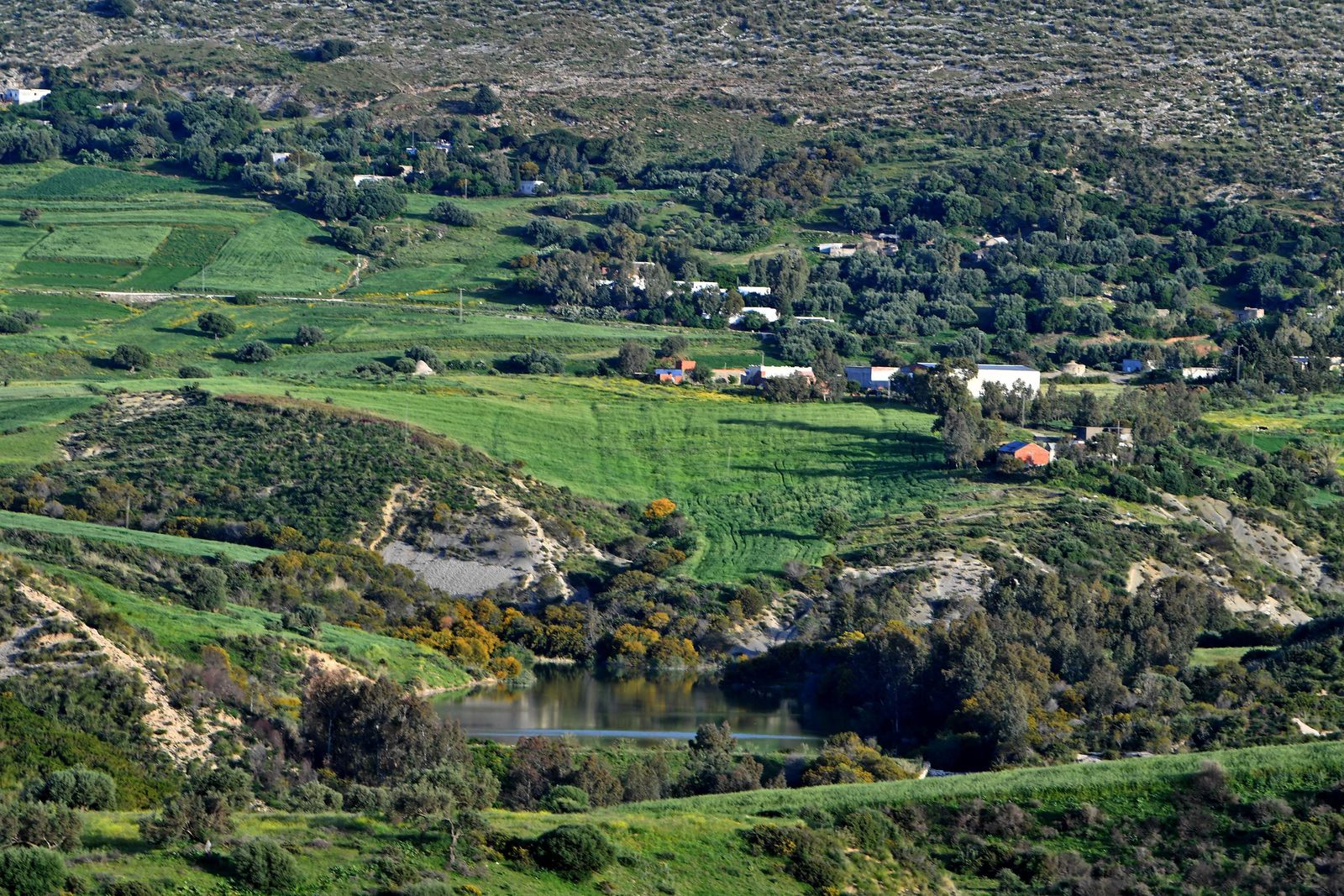 This picture taken on April 27, 2023, shows an agricultural fields in Cap Negro in northern Tunisia. Many hope permaculture will help Tunisia weather the impacts of climate change and ween it off its reliance on global supply chains, including grain and fertiliser imports from war-torn Ukraine and Russia. (Photo by FETHI BELAID / AFP) - AFP