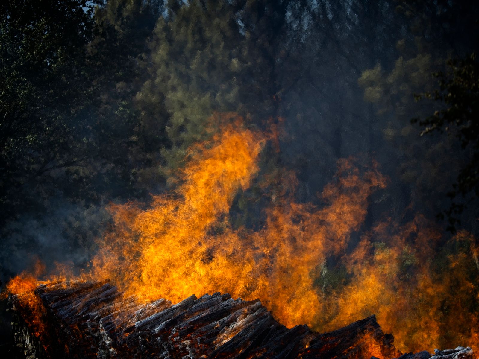 جانب من الحرائق في غابة في جينيل، وسط فرنسا، 18 يونيو 2022 - AFP
