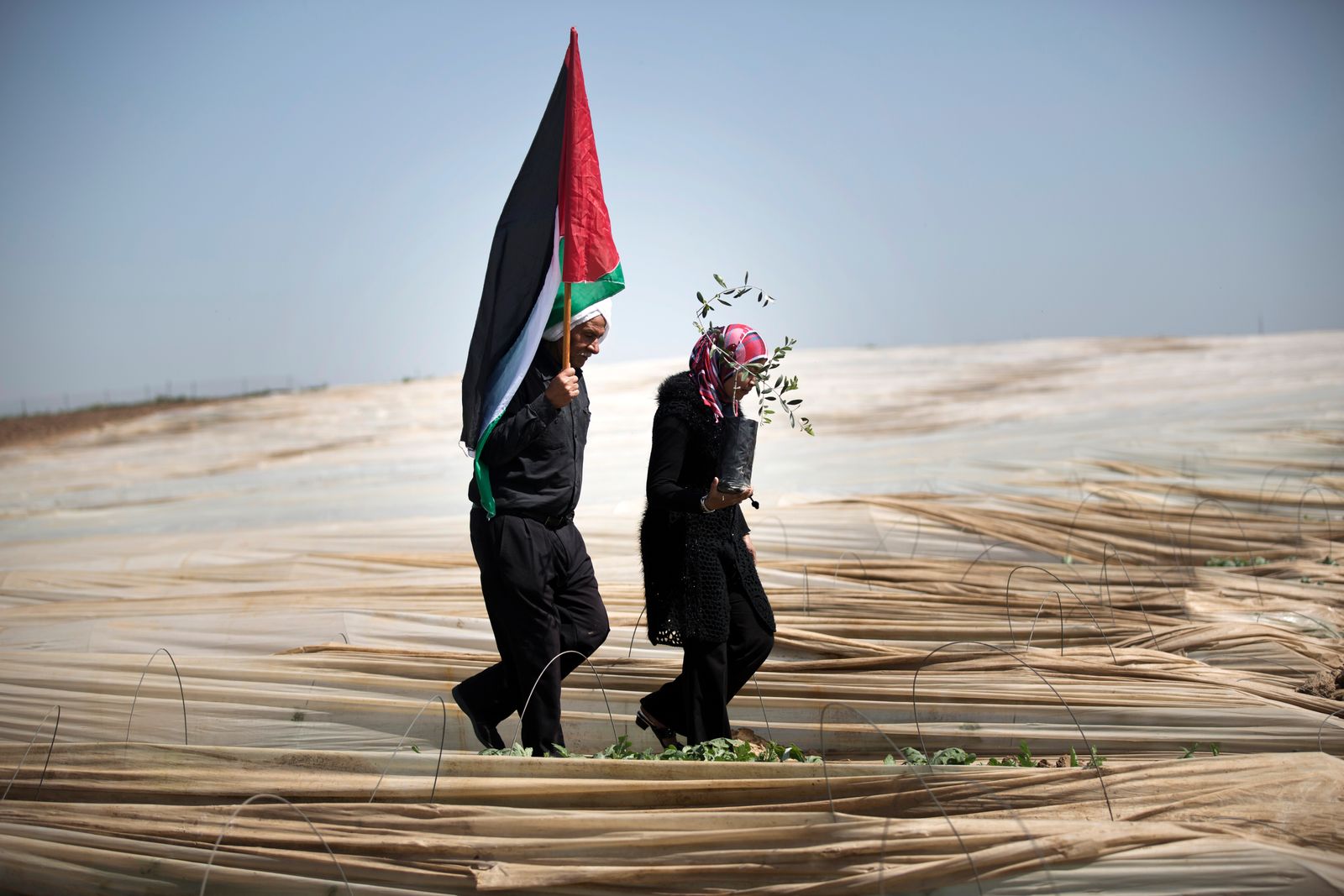 فلسطينيين يحملان علم فلسطين وشجرة زيتون  في 