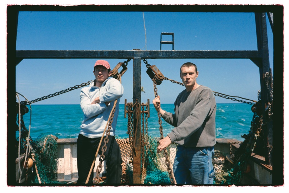 زهرة نيفادا 