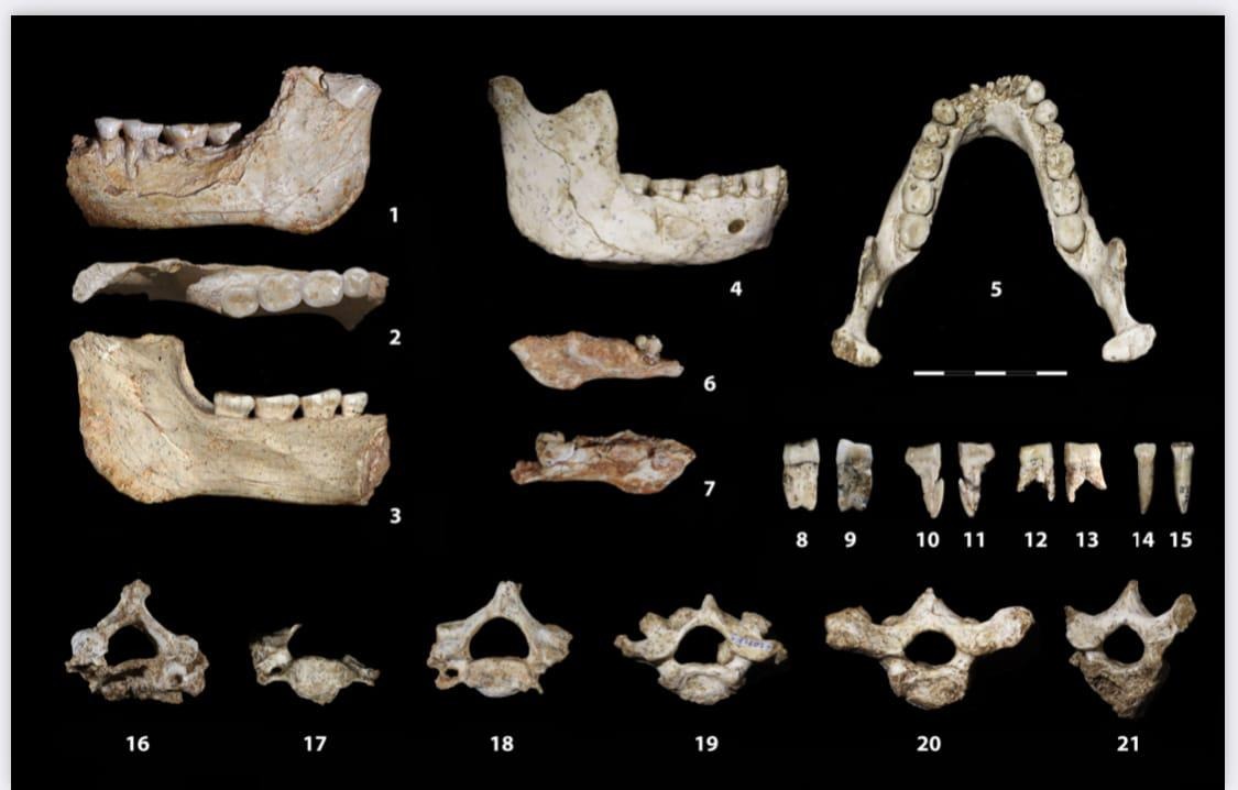 بقايا بشرية لشبيه بشر قديم عاش قبل نحو 773 ألف سنة ظهرت أثناء أعمال التنقيب في كهف بالدار البيضاء في المغرب. 7 يناير 2026 - وزارة الثقافة المغربية