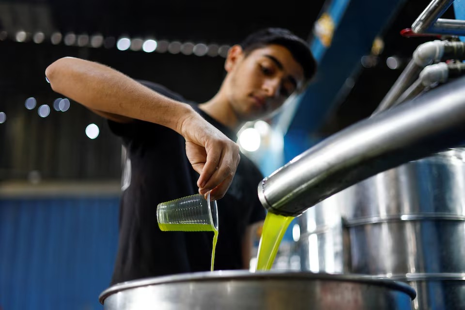 شاب فلسطيني يسكب زيت الزيتون المنتج حديثاً في وعاء معدني داخل معصرة زيتون في دير البلح، وسط قطاع غزة، فلسطين. 5 أكتوبر 2026