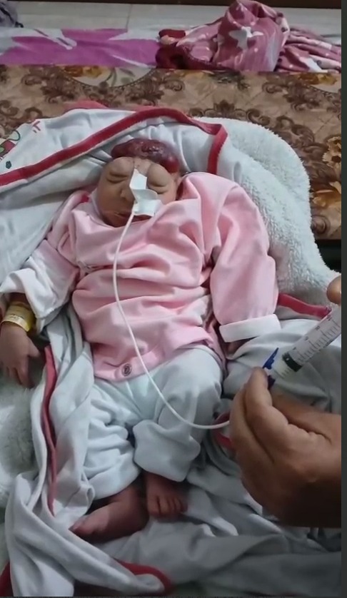 الطفلة ملك أحمد القانوع