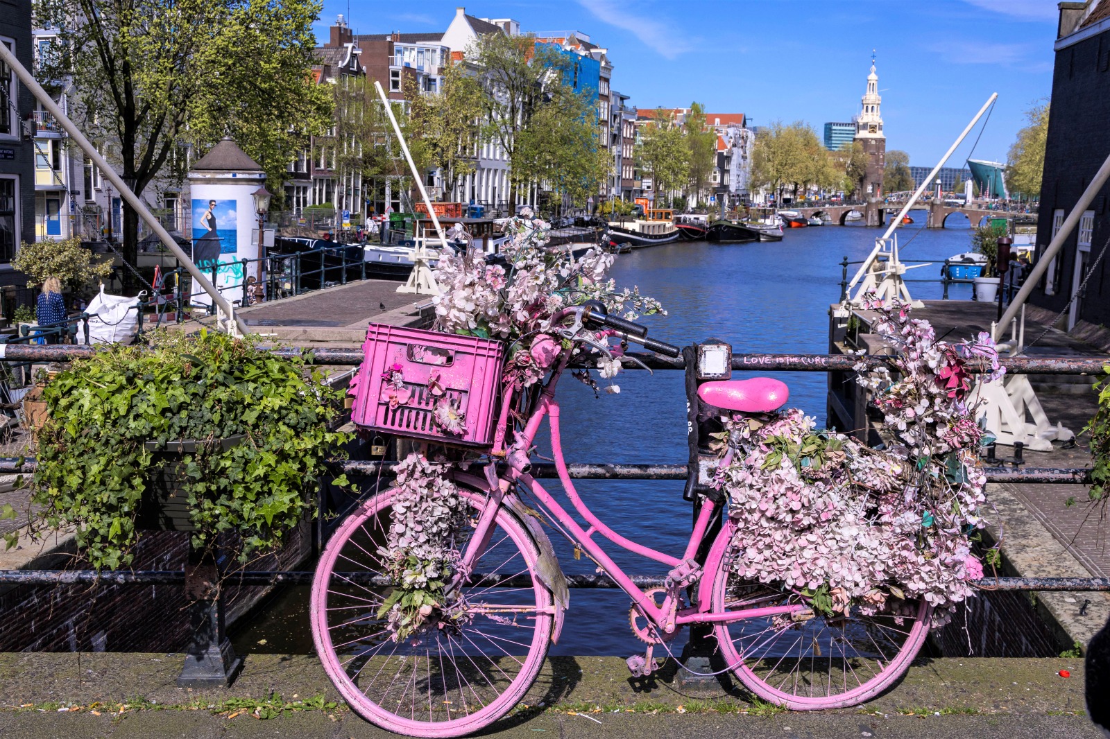 دراجة هوائية مزيّنة بالورود مع دخول الربيع في أمستردام. 14 أبريل 2024 -AFP