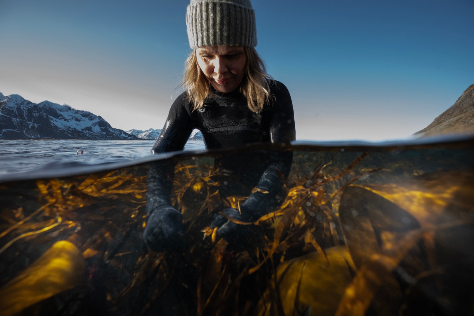 أنجيليكا إريكسن تحصد الطحالب البحرية من المحيط الأطلسي في النرويج. 4 مارس 2024