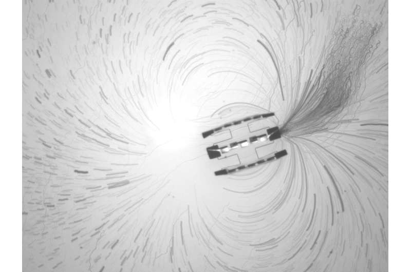 باحثون يطورون أصغر روبوت ذاتي الحركة في العالم