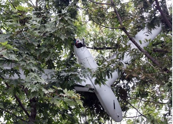 صورة نشرتها وكالة الأنباء المركزية الكورية الشمالية تُظهر إحدى الطائرات عالقة في شجرة وقالت إنها تابعة لكوريا الجنوبية. بيونج يانج