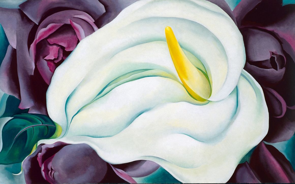 لوحة الوردة البيضاء