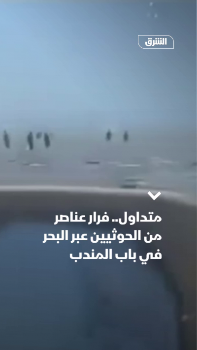 متداول.. فرار عناصر من الحوثيين عبر البحر في باب المندب