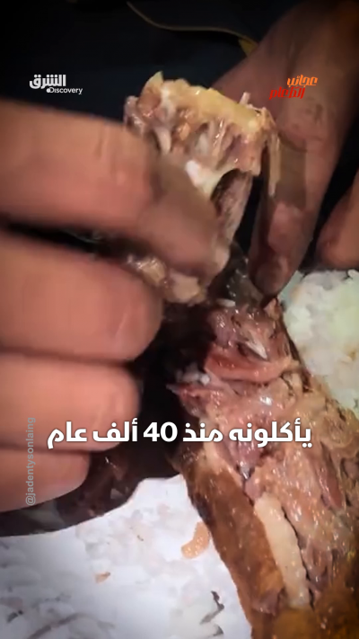 طبق من ذيل الكنغر.. هل تجرؤ على تذوقه؟