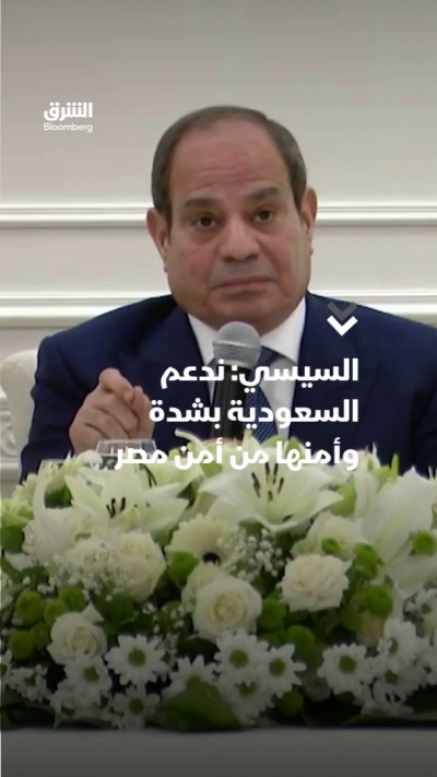 عبد الفتاح السيسي الرئيس المصري