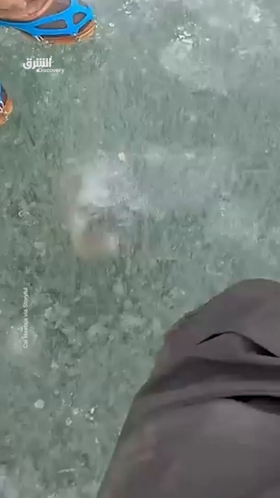 علقت بطة في خيط الصيد أثناء رحلة صيد في بحيرة ميشيغان،...