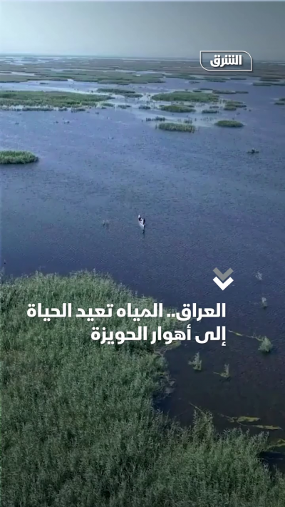 بعد سنوات جفاف.. عودة المياه تحيي أهوار الحويزة في جنوب العراق