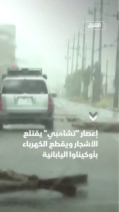 إعصار "تشامبي" يقتلع الأشجار ويقطع الكهرباء بأوكيناوا اليابانية