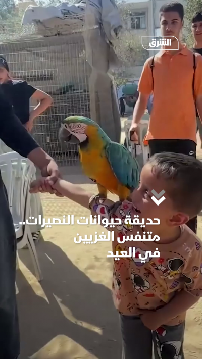 حديقة حيوانات النصيرات.. متنفس غزة في العيد