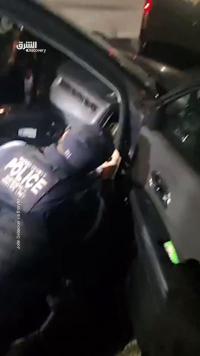 إنقاذ قطة صغيرة شرسة من داخل لوحة قيادة سيارة.