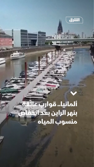 ألمانيا.. قوارب عالقة بنهر الراين بعد انخفاض منسوب المياه